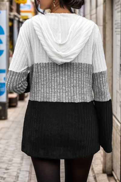 Bellamy colorblock hooded sweater, back view showing hood and ribbed knit